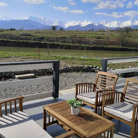 Linistea Muntilor Chalet ポルンバク・デ・スス エクステリア 写真