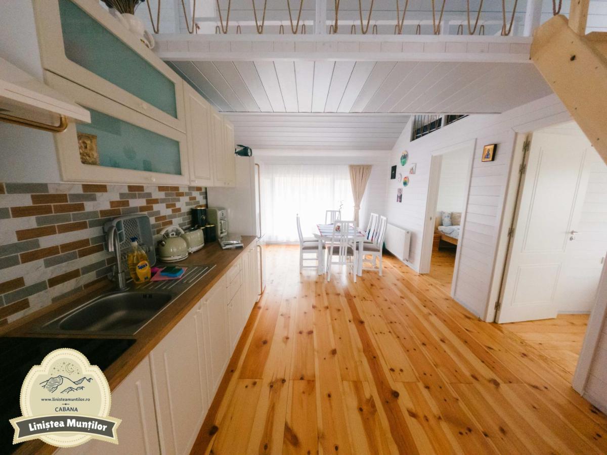 Linistea Muntilor Chalet ポルンバク・デ・スス エクステリア 写真