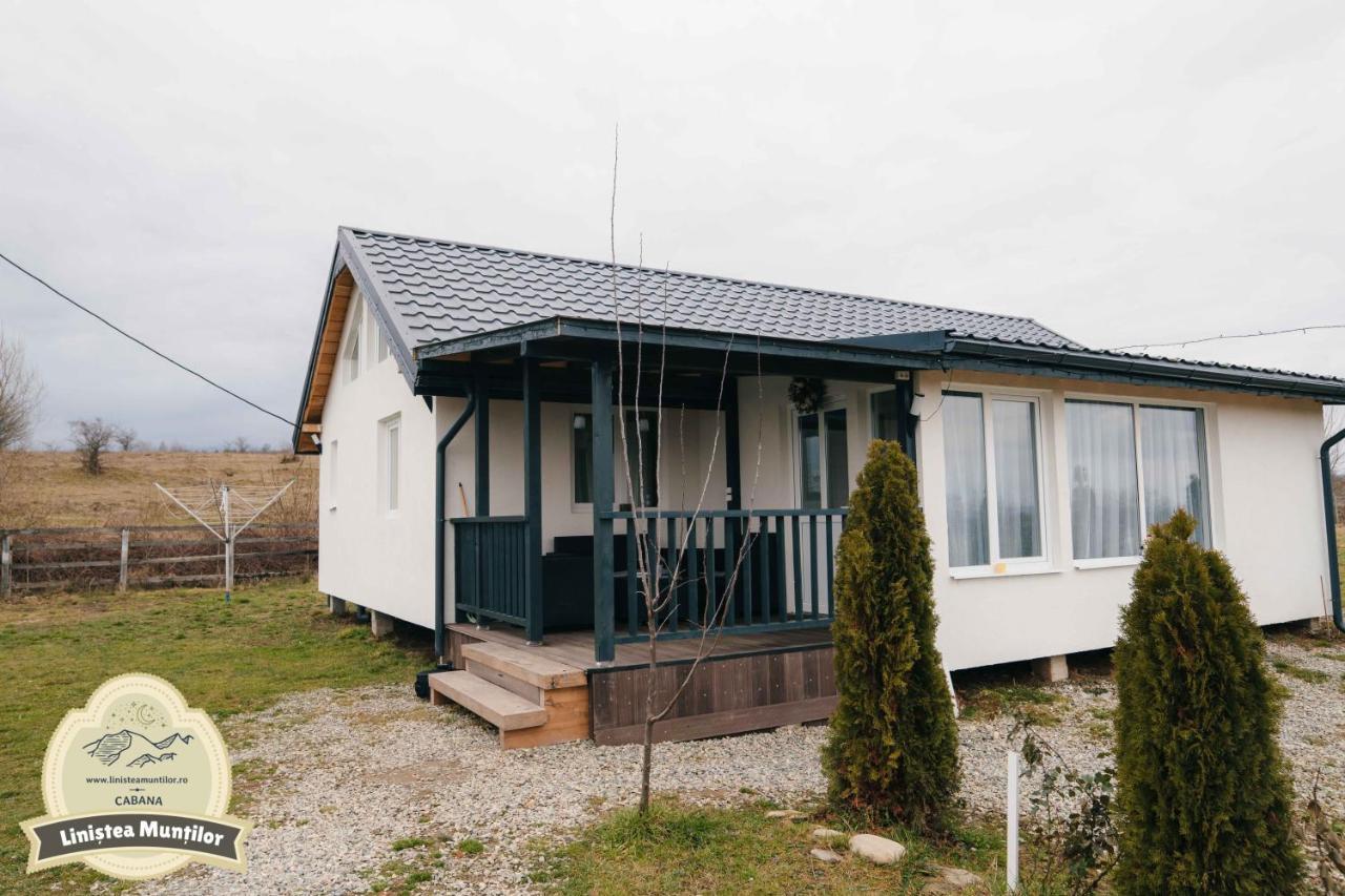 Linistea Muntilor Chalet ポルンバク・デ・スス エクステリア 写真