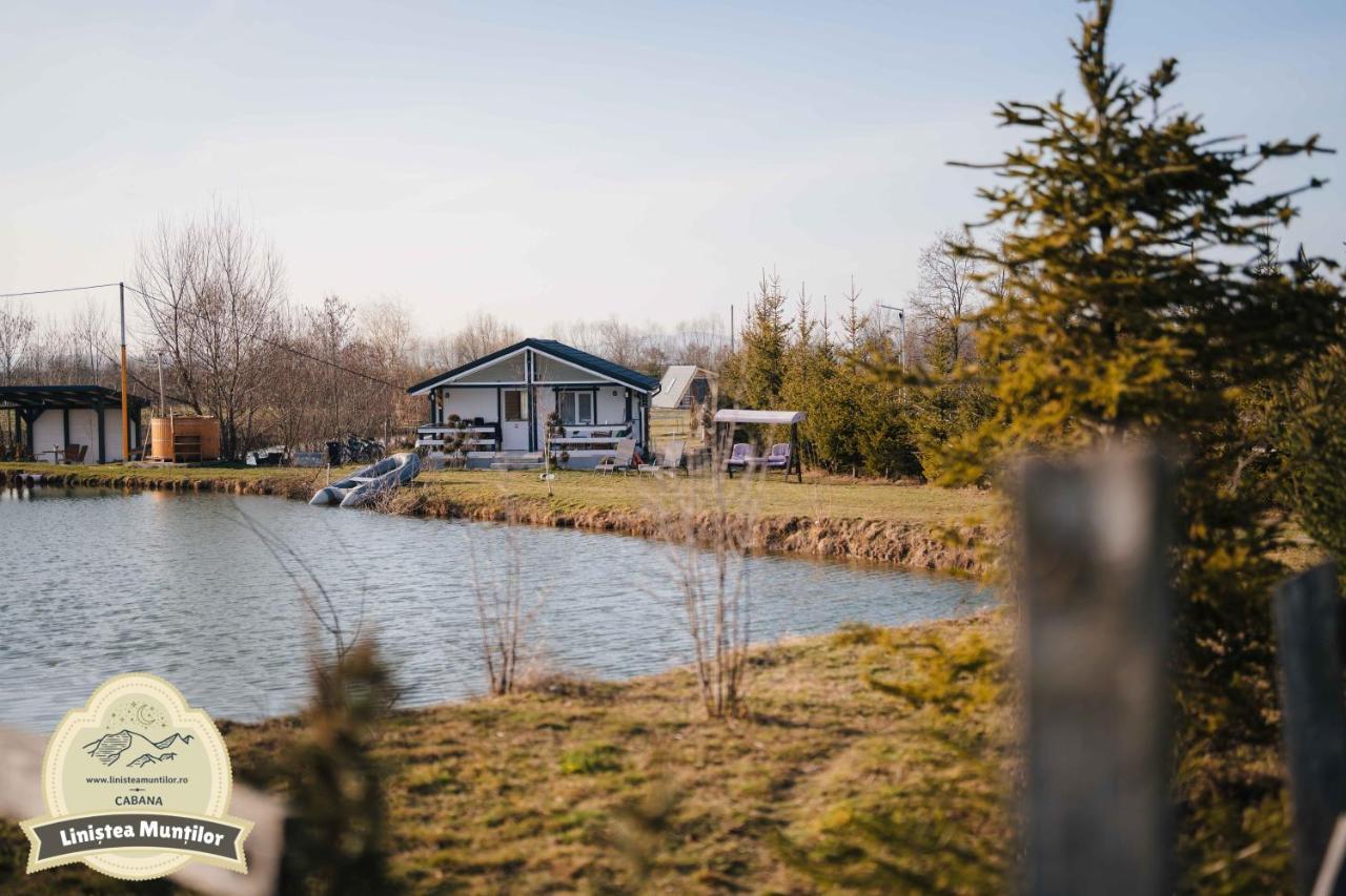 Linistea Muntilor Chalet ポルンバク・デ・スス エクステリア 写真