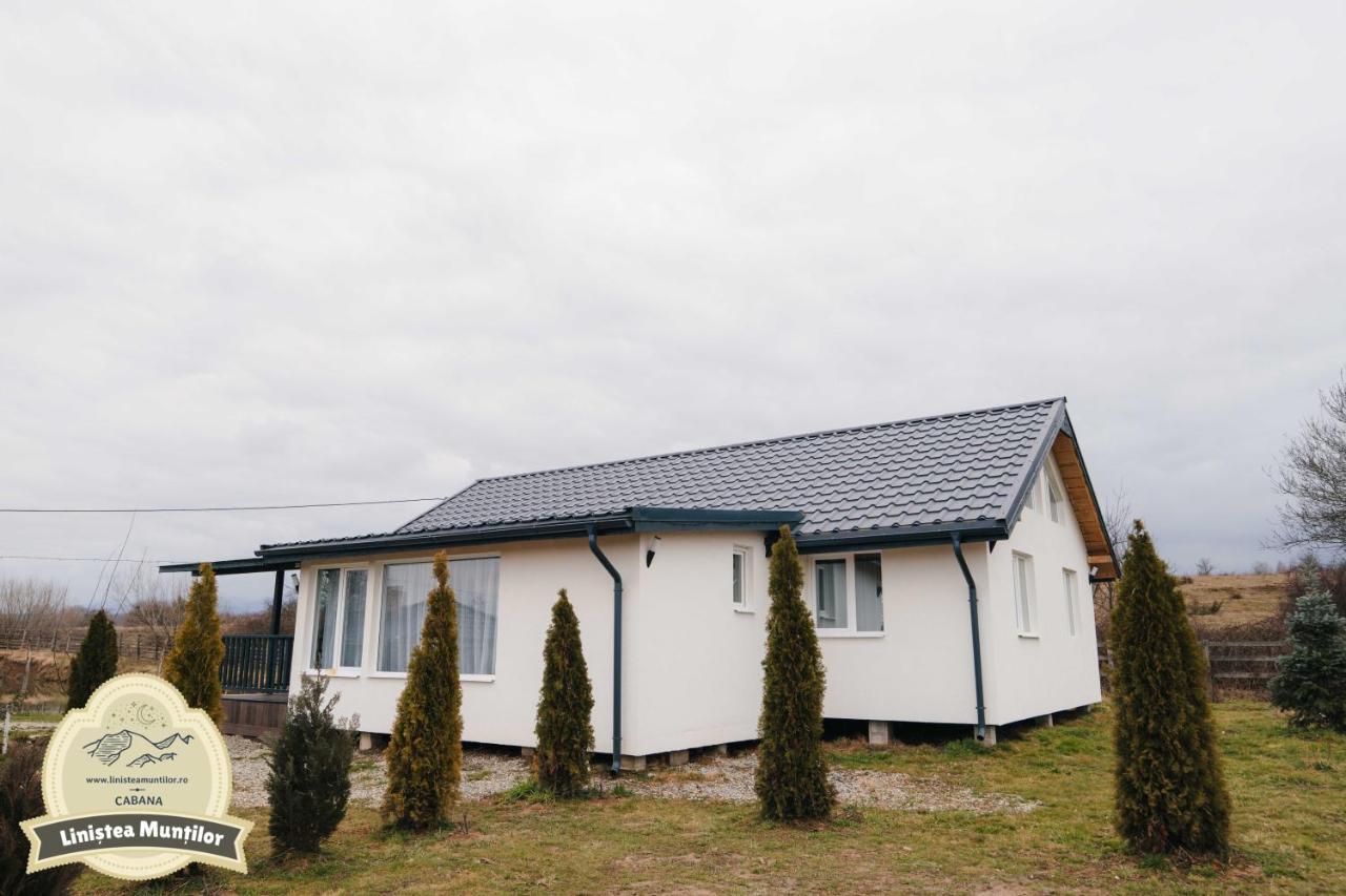 Linistea Muntilor Chalet ポルンバク・デ・スス エクステリア 写真