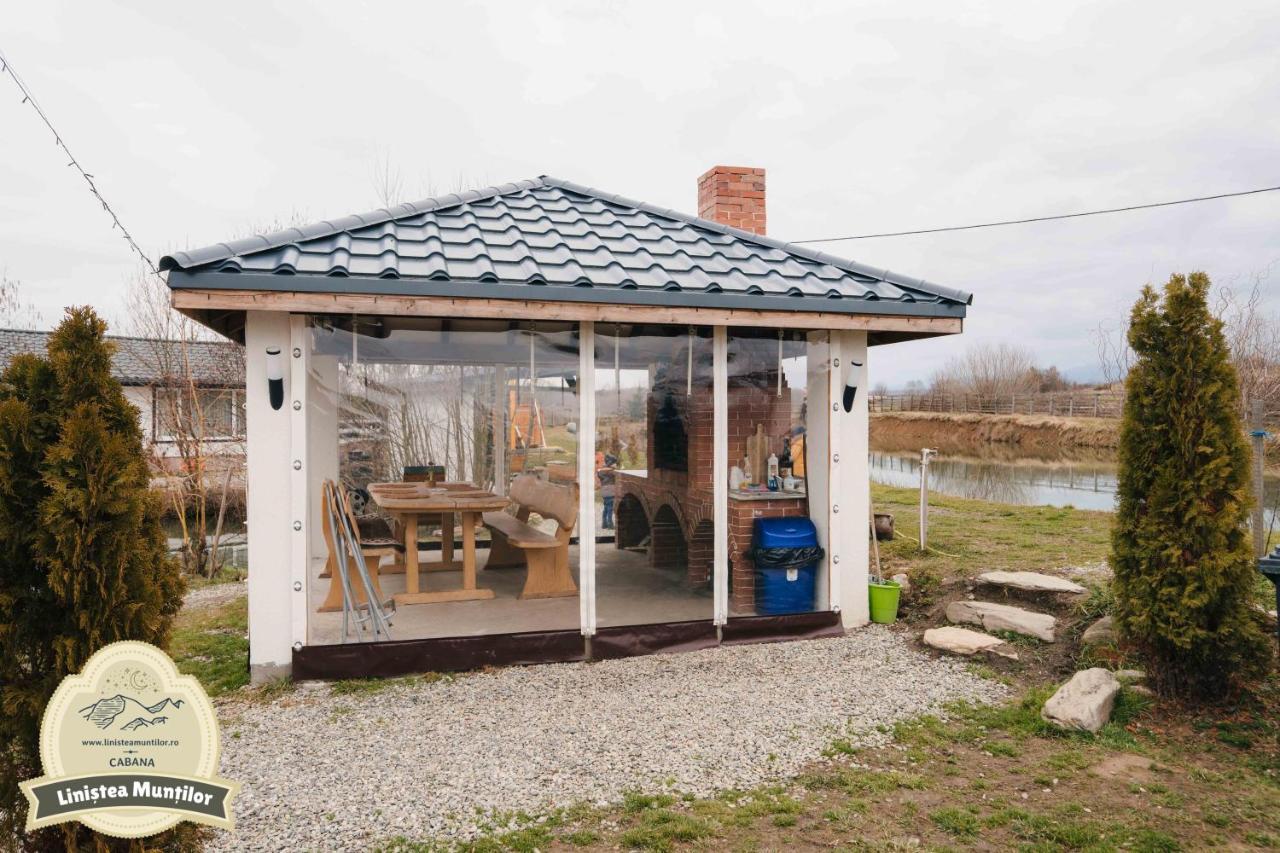 Linistea Muntilor Chalet ポルンバク・デ・スス エクステリア 写真