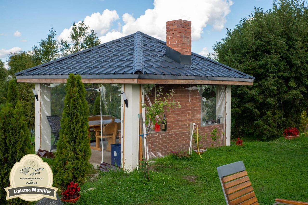 Linistea Muntilor Chalet ポルンバク・デ・スス エクステリア 写真