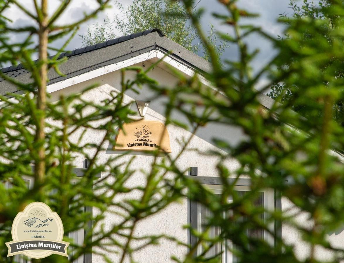 Linistea Muntilor Chalet ポルンバク・デ・スス エクステリア 写真