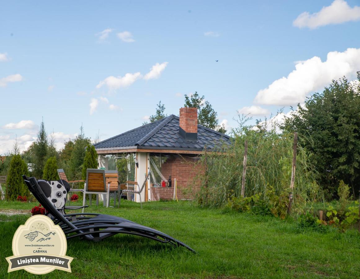 Linistea Muntilor Chalet ポルンバク・デ・スス エクステリア 写真